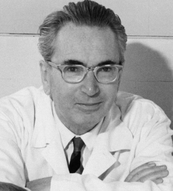 O fundador da Logoterapia, Viktor Frankl, em 1965. Créditos: Prof. Dr. Franz Vesely/Wikimedia Commons CC BY-SA 3.0 DE.