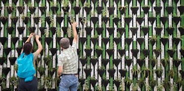 Uma mulher e um homem plantam mudas em um jardim vertical. Conceito de sustentabilidade. Daniel Funes Fuentes/Unsplash 