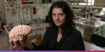 A neurocientista Suzana Herculano-Houzel é professora dos departamentos de Psicologia e Ciências Biológicas da Universidade Vanderbilt.